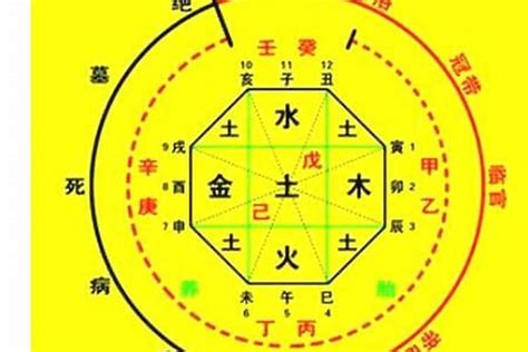 出生八字五行|生辰八字算命、五行喜用神查询（免费测算）